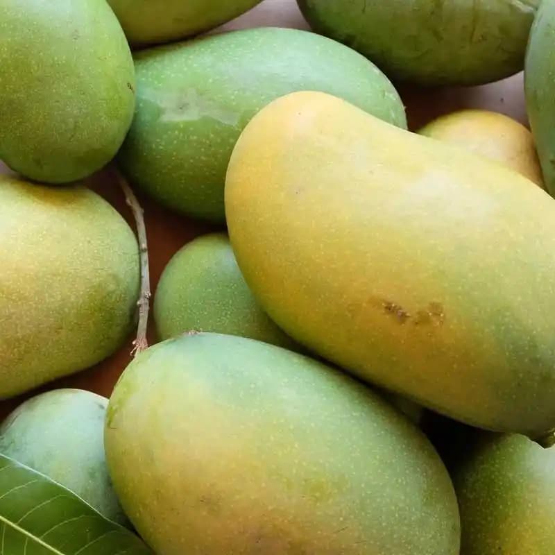 Premium Langra Mango