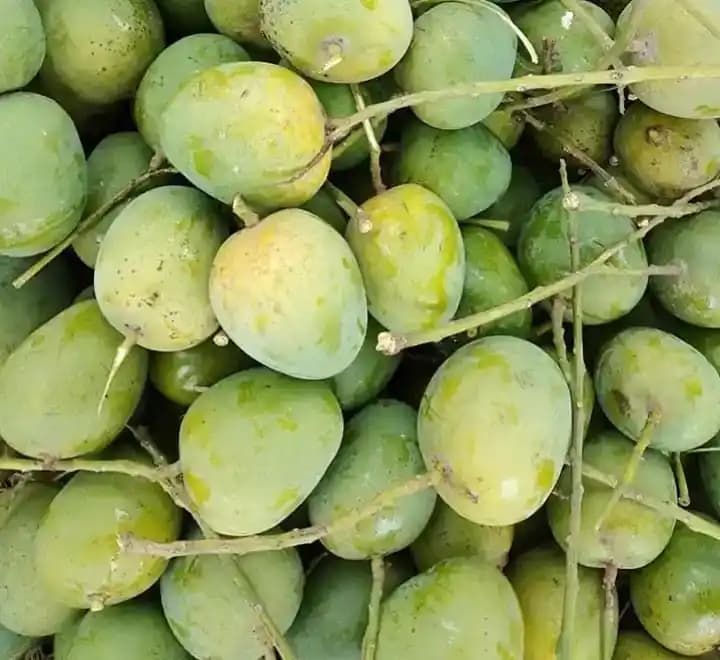 Why Chapai Nawabganj Mangoes Are So Special